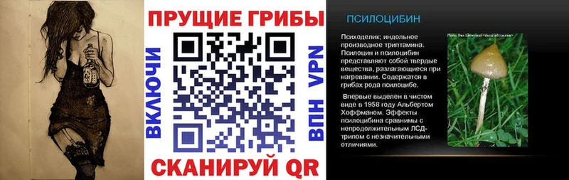 Псилоцибиновые грибы мухоморы  Купить закладки  Нижневартовск 
